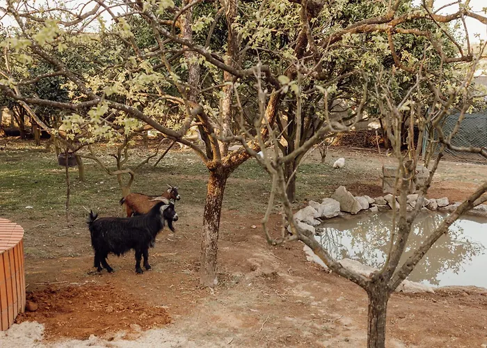 Quinta Verde Esperanca