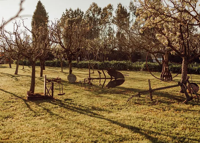 Quinta Verde Esperanca