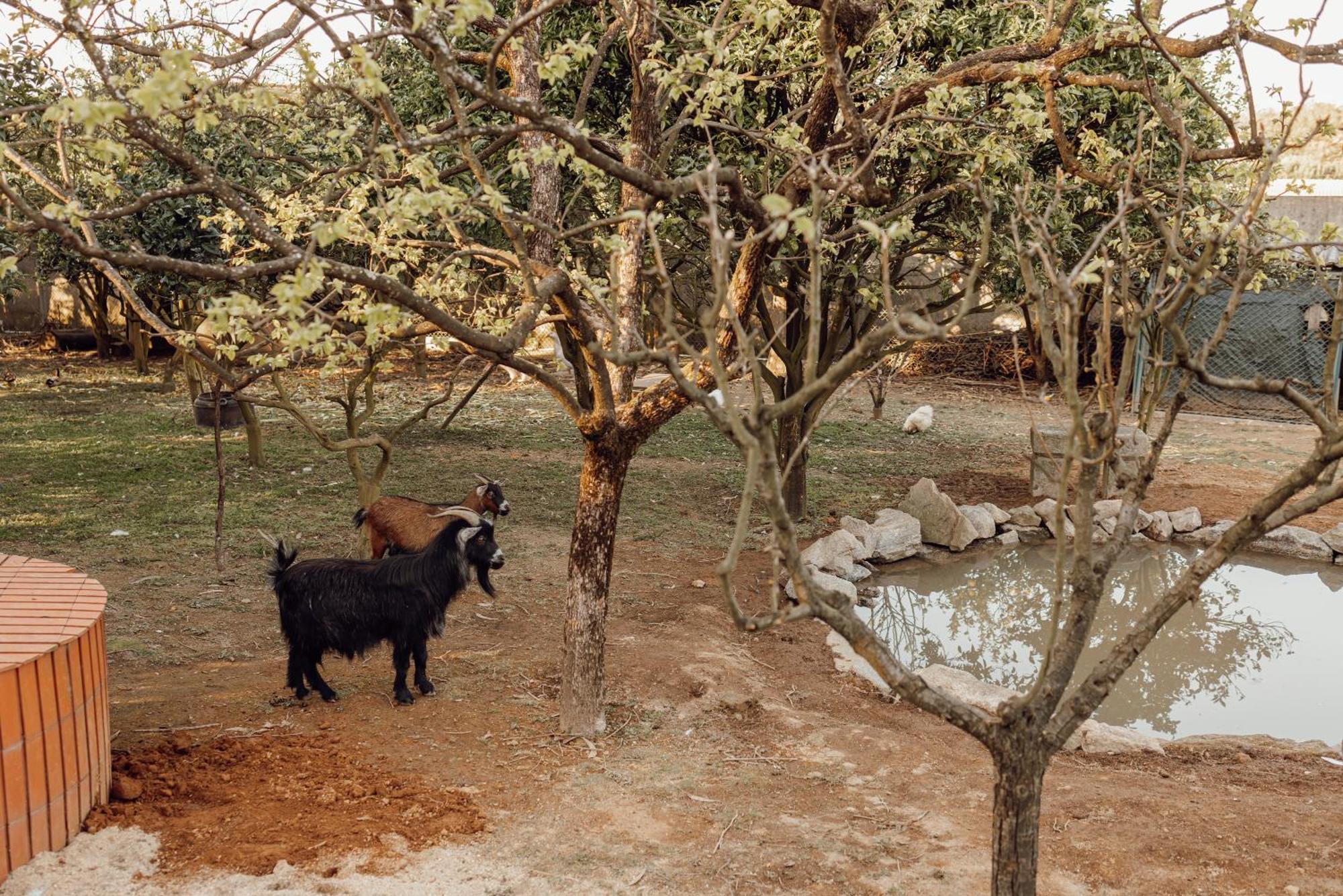 Quinta Esperanca Vila Nova de Gaia