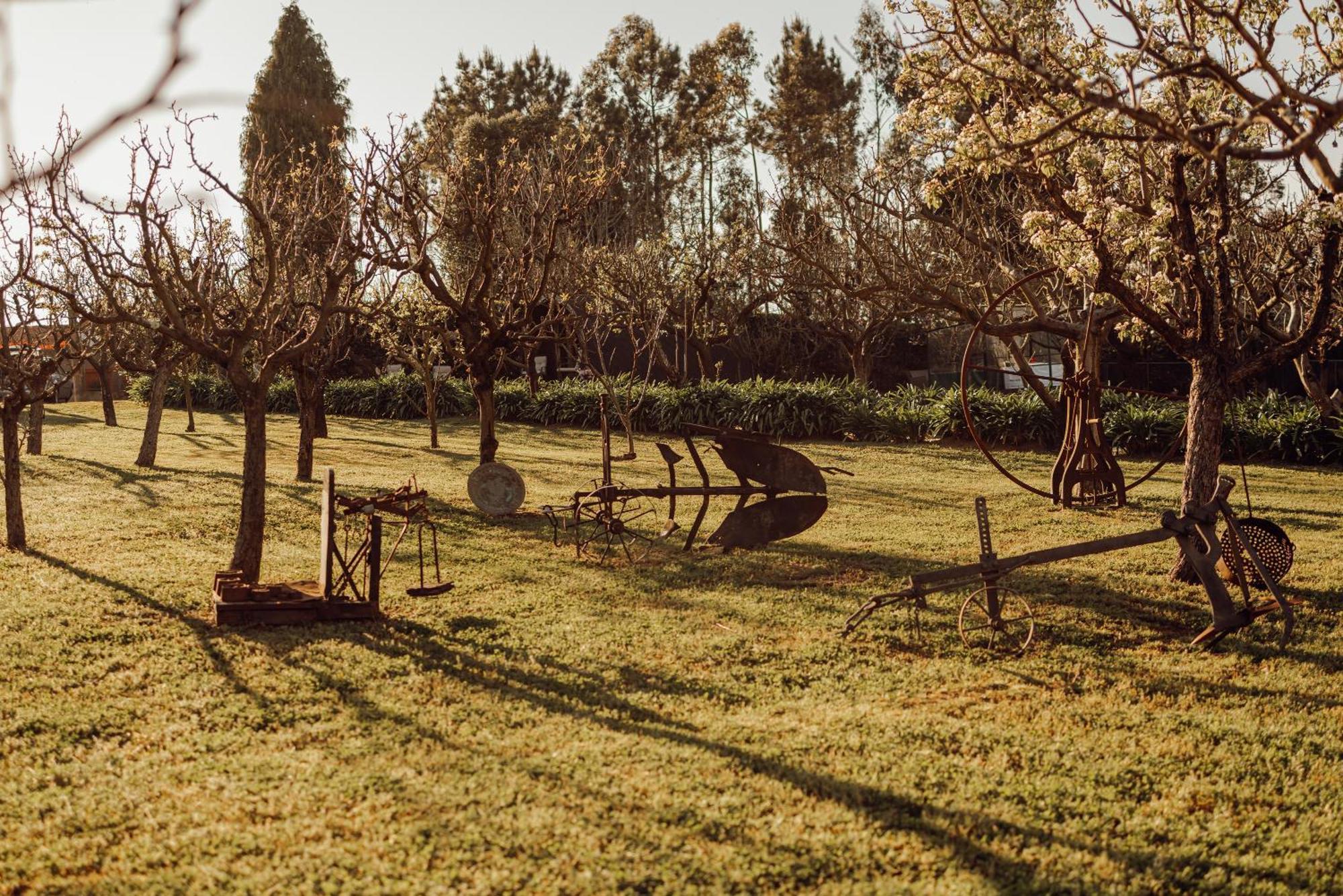 Quinta Esperanca Vila Nova de Gaia