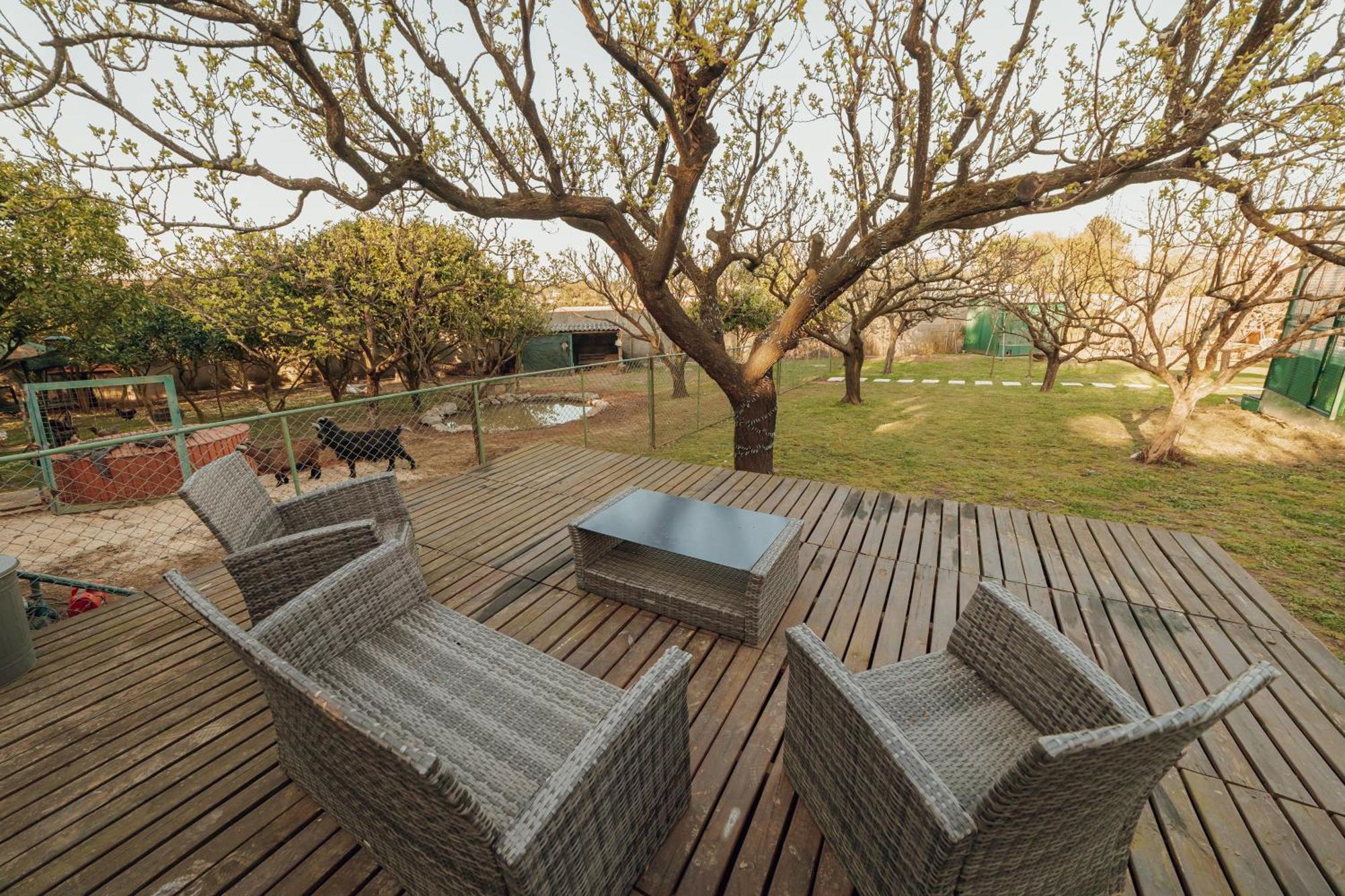 Quinta Esperanca Holiday home